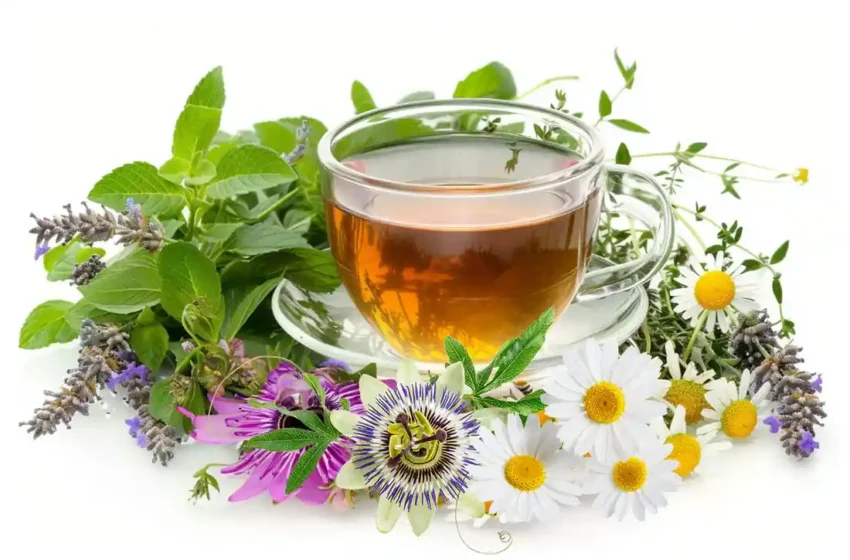  General Wellbeing Herbs: Natural Relief for Anxiety