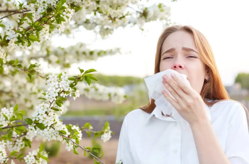  How to Treat Seasonal Allergies with Effective Remedies