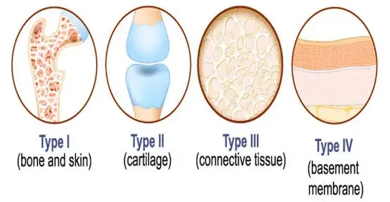 best collagen for women