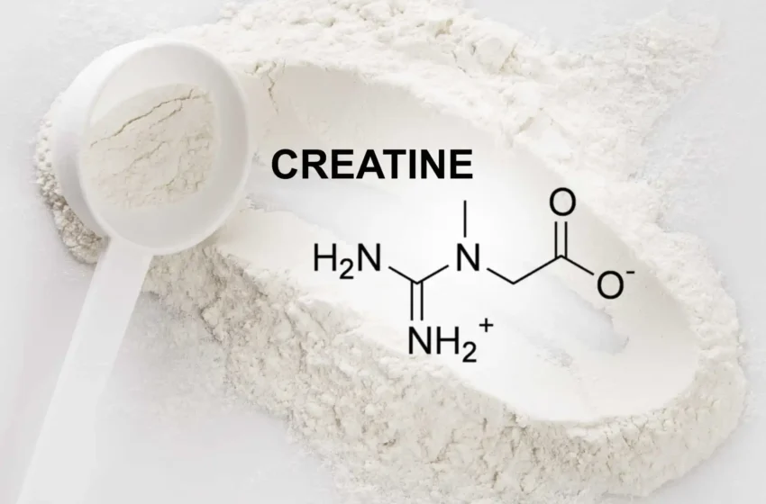  Creatine vs. Other Supplements: What You Need to Know