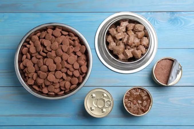 pet wellness