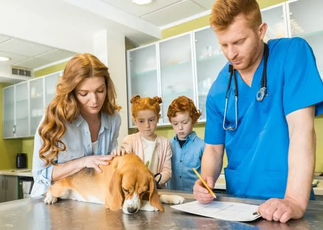 pet wellness exams New York