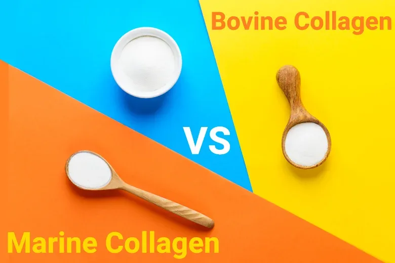 collagen peptides