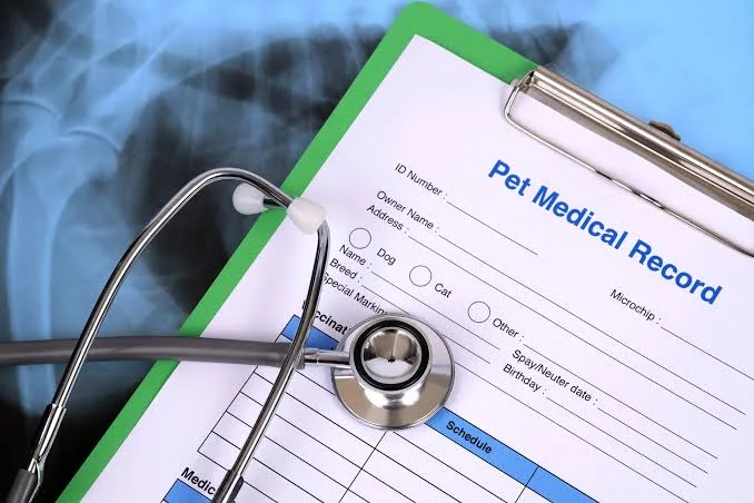 pet wellness exams New York