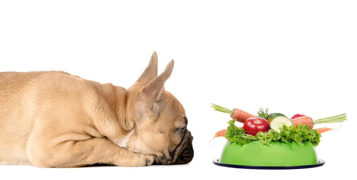 dog food for weight loss