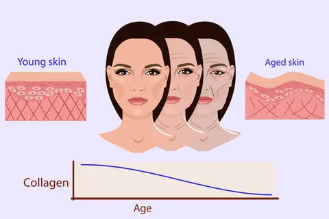 vegan collagen