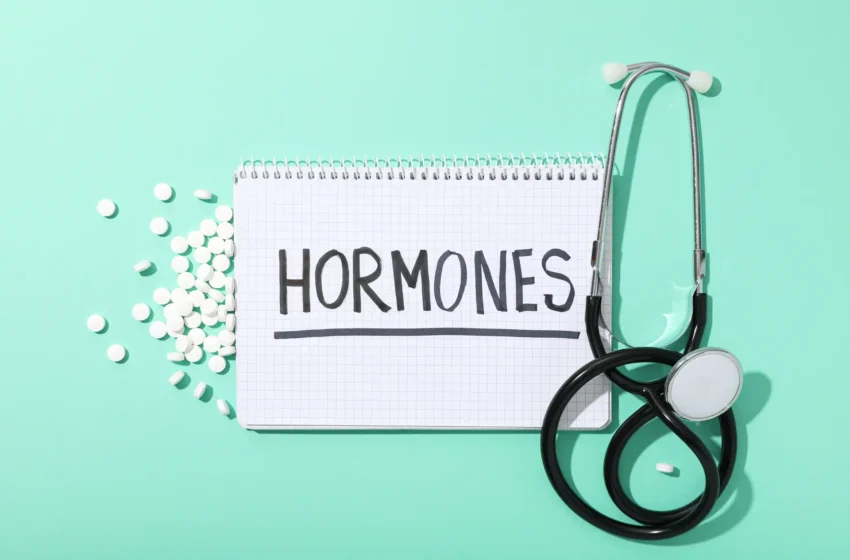  Reproductive Hormones: Key Factors in Hormonal Balance
