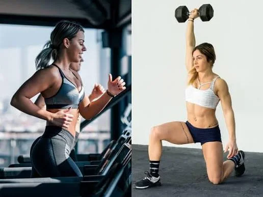 precision nutrition calculator