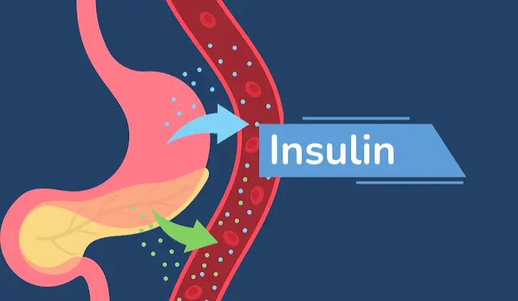 metabolic regulation