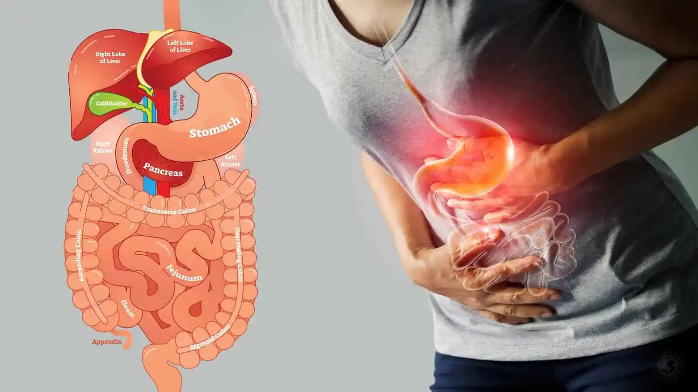 do steroids cause constipation