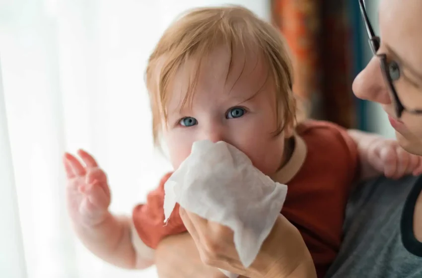  How to Treat Seasonal Allergies in Babies with Remedies