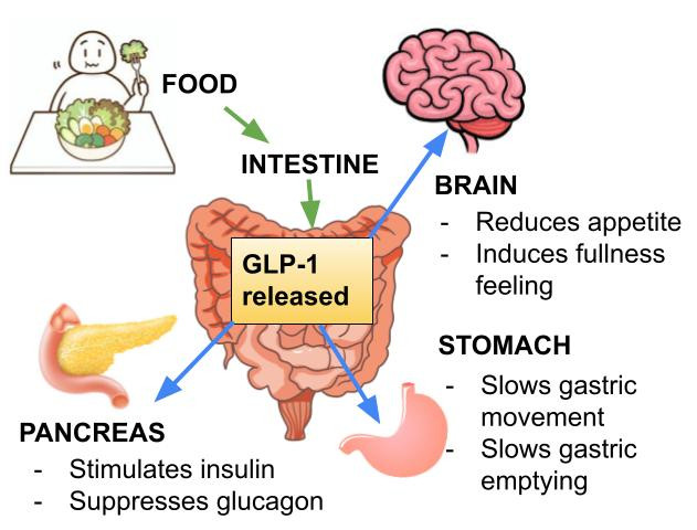 glp1 factor meals