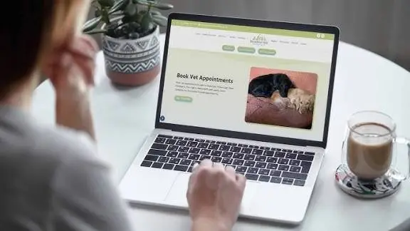 pet wellness exams Lynwood