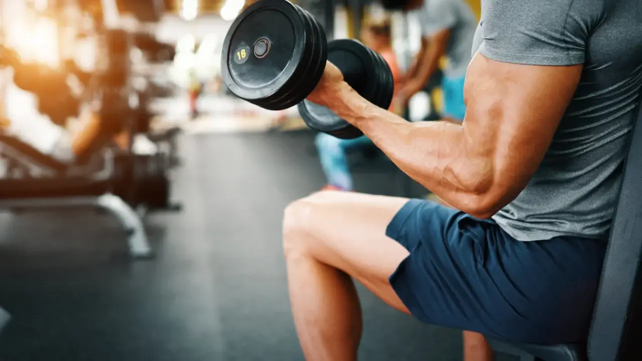 vegan creatine