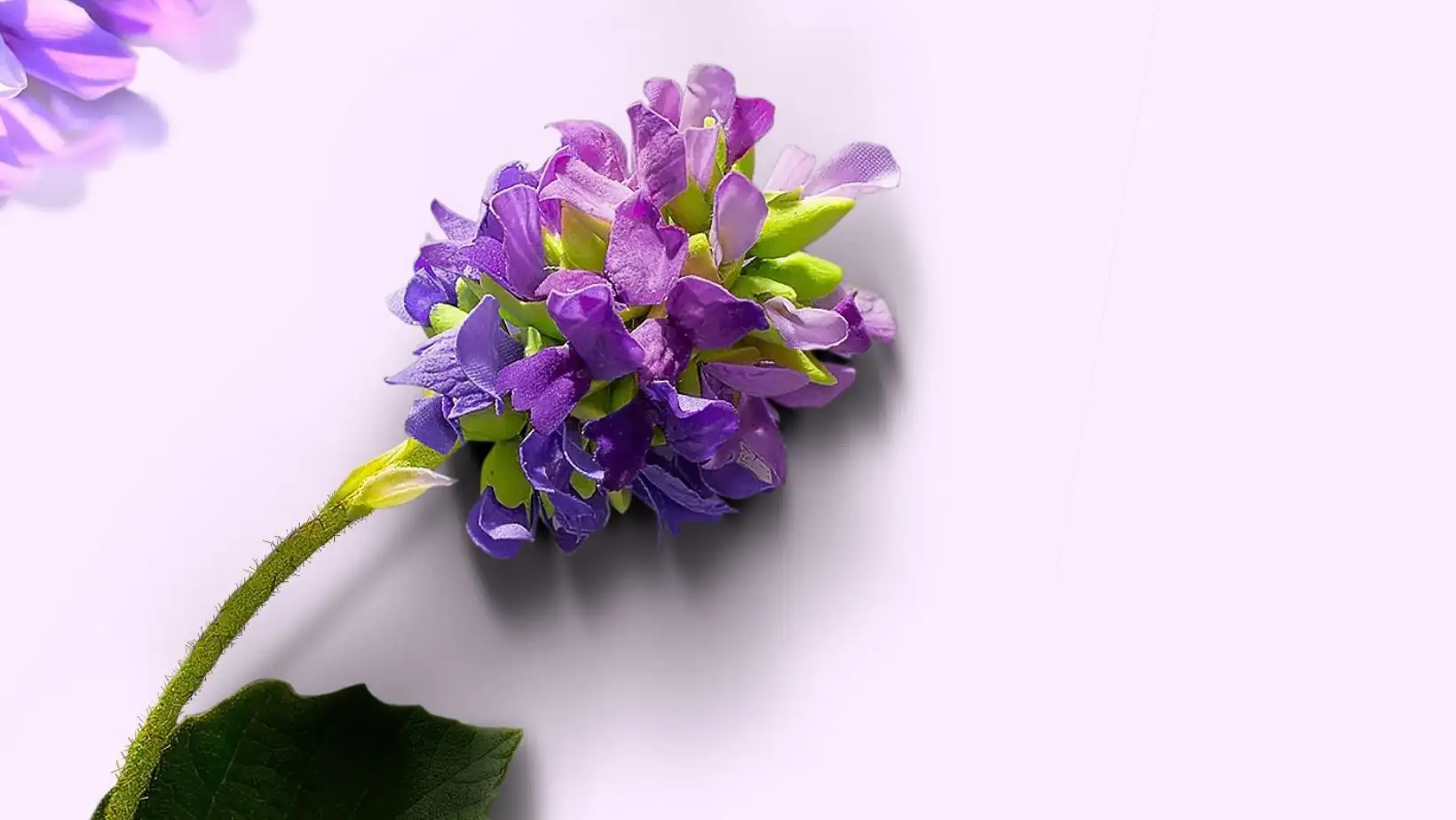 organic skincare