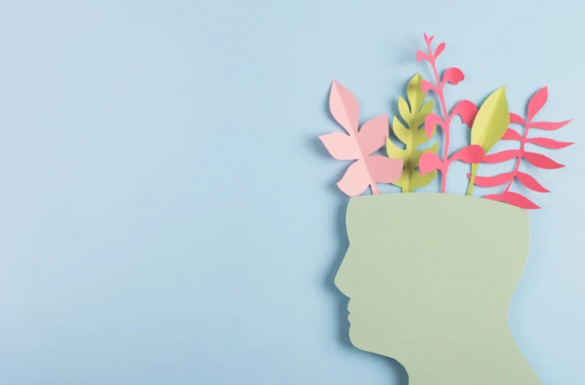  Is Behavioral Health the Same as Mental Health?