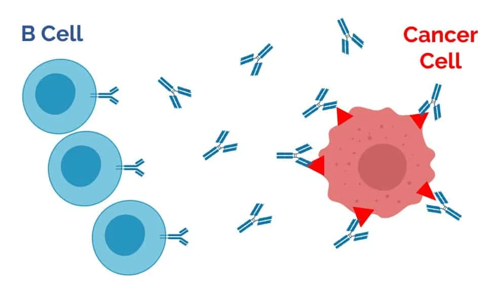 what is immunotherapy