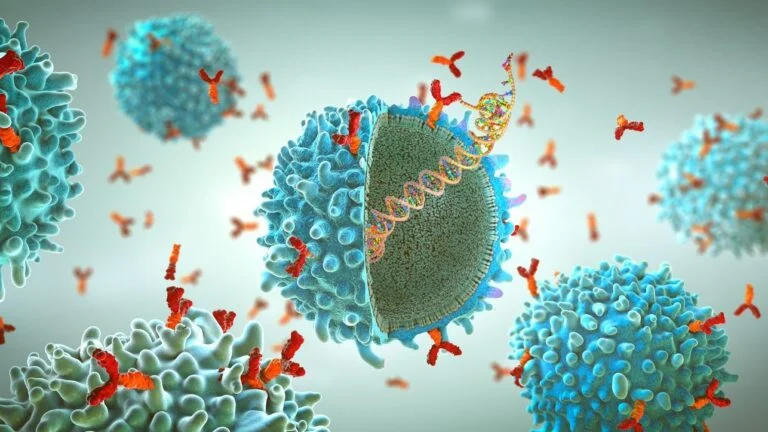 what is immunotherapy for cancer