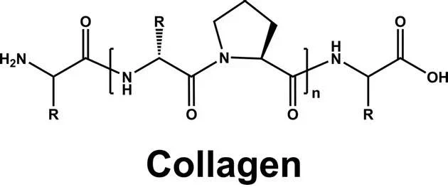 prebiotic collagen protein
