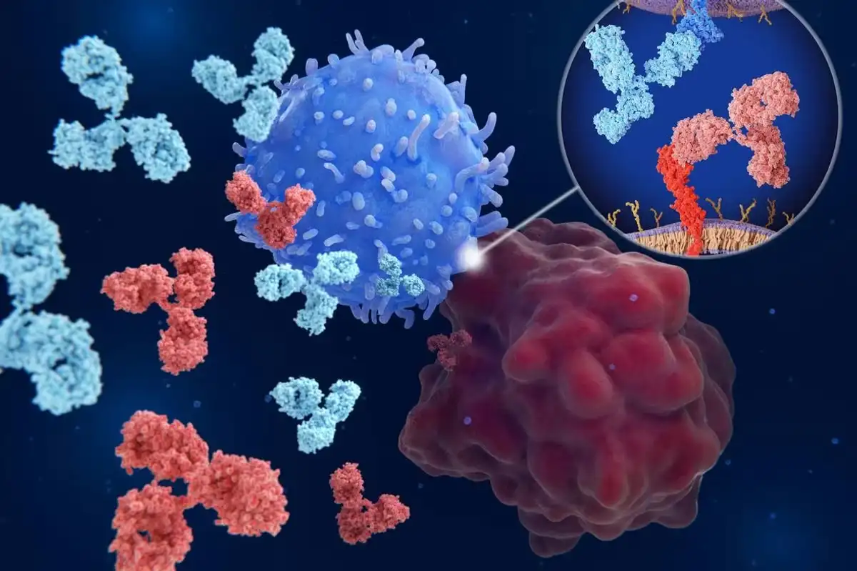 types of immunotherapy