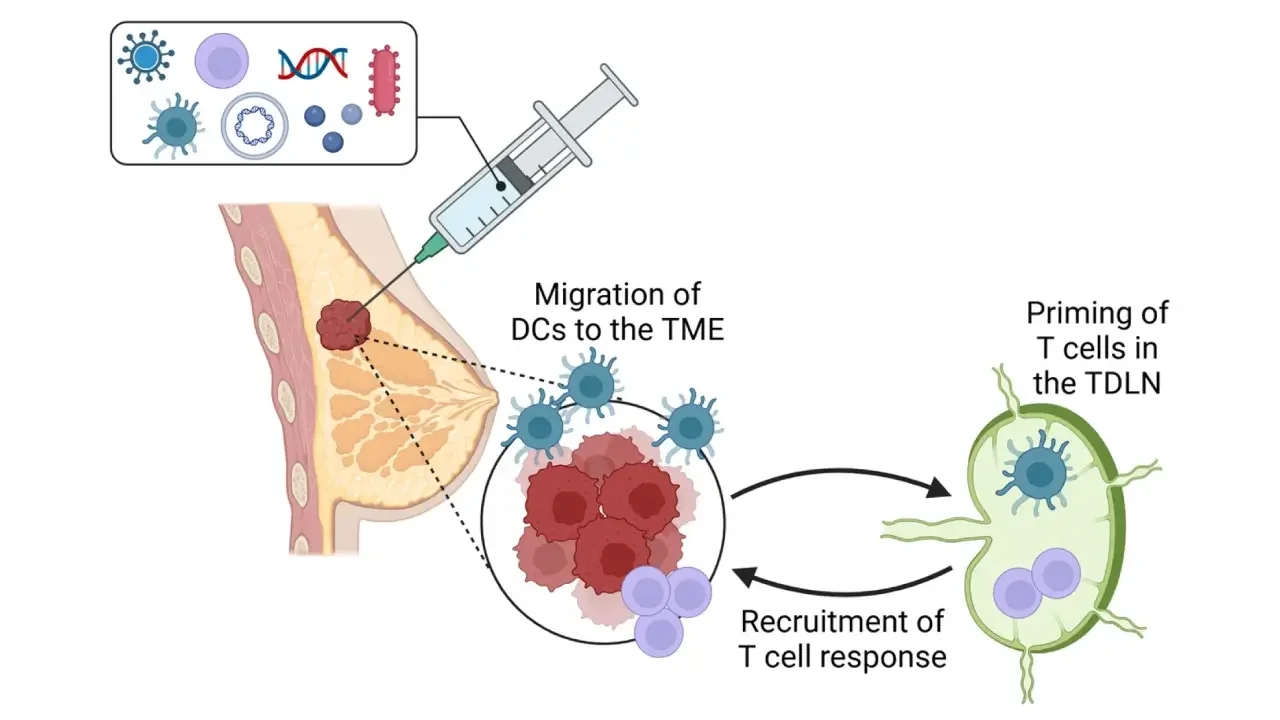 breast cancer immunotherapy